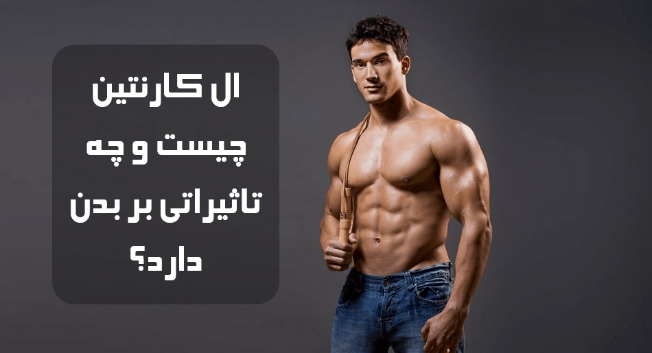 ال کارنیتین چیست و چه تاثیراتی بر بدن دارد؟